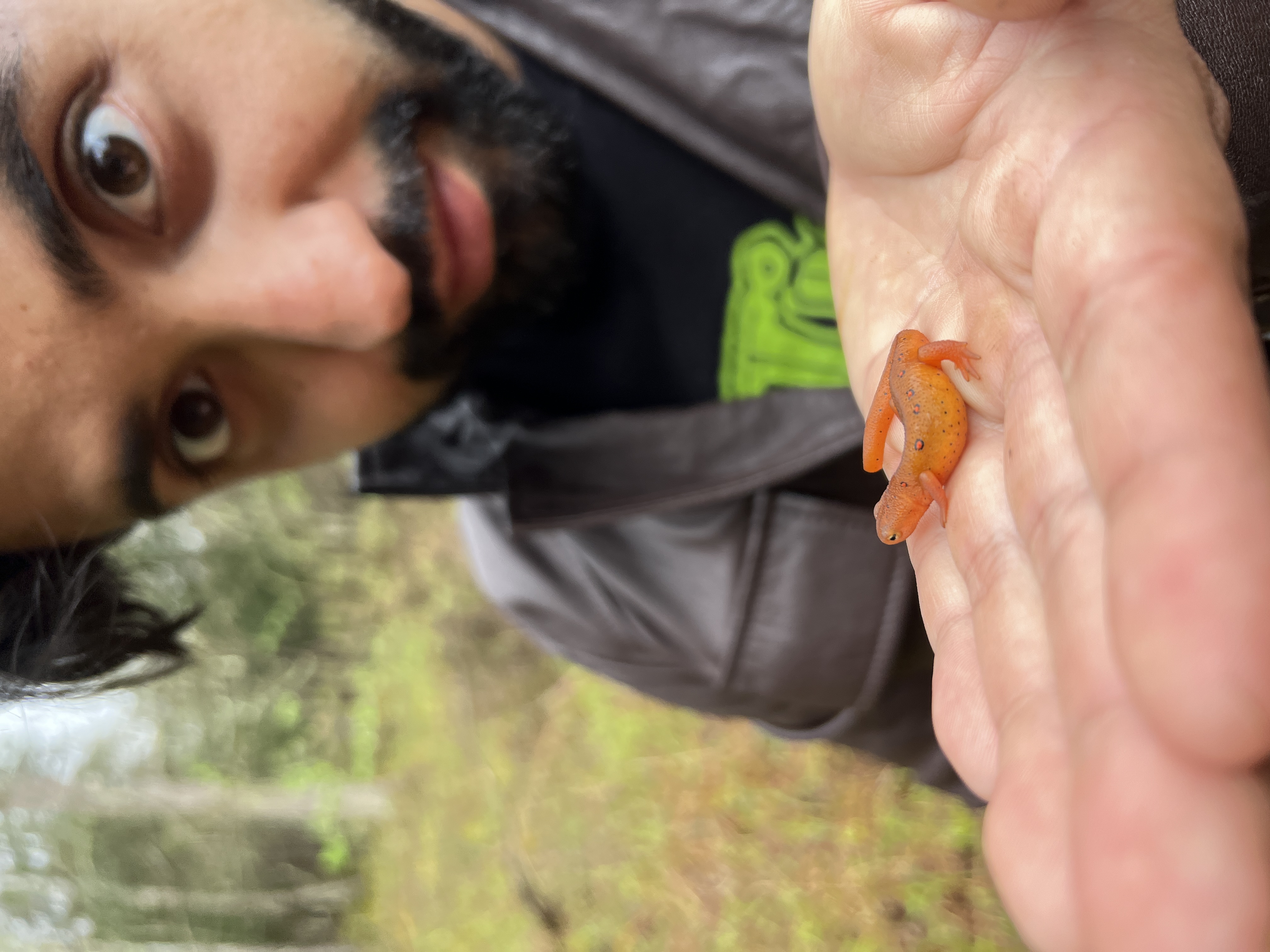 herping at Flora Fauna