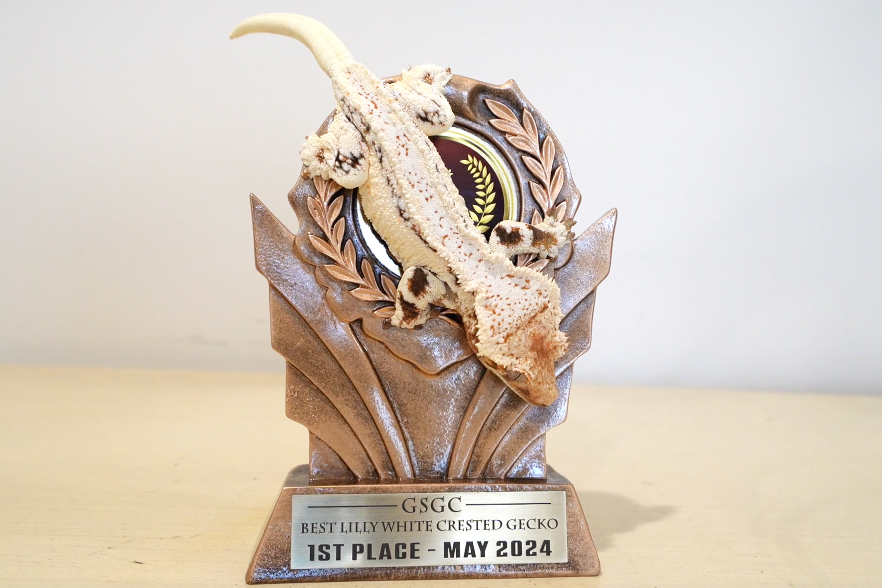 Epic - Gecko Harmony