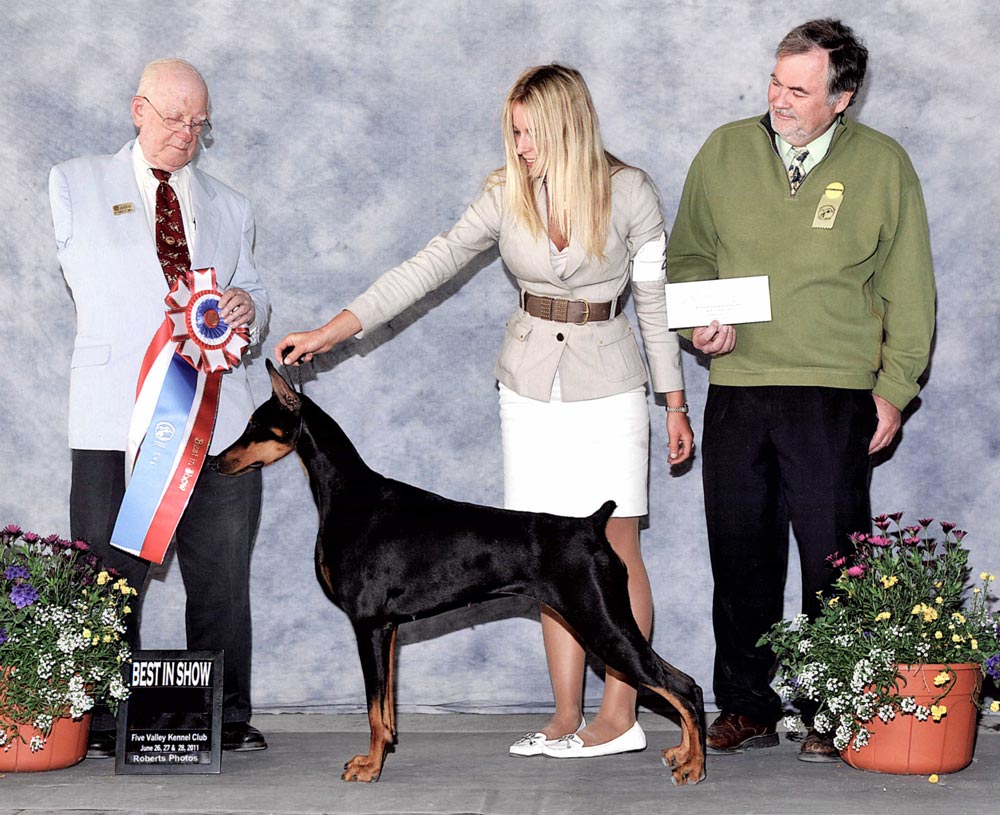 Tess (BIS GCH Marienburg's Maserati at Northstar) at Best in Show