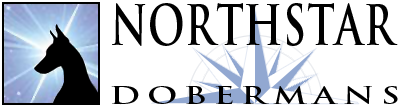 Northstar Dobermans logo