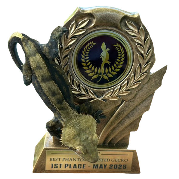 Winner Winner Chicken Dinner