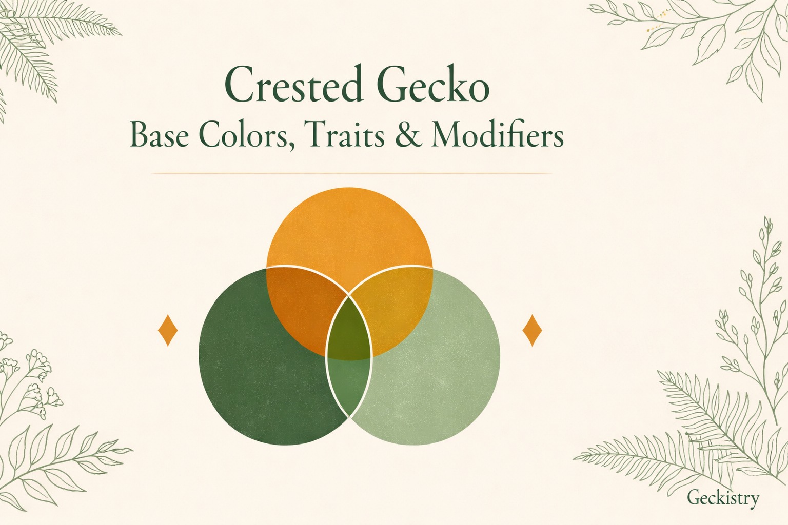 Crested Gecko Base Colors, Traits & Modifiers: The Complete Guide