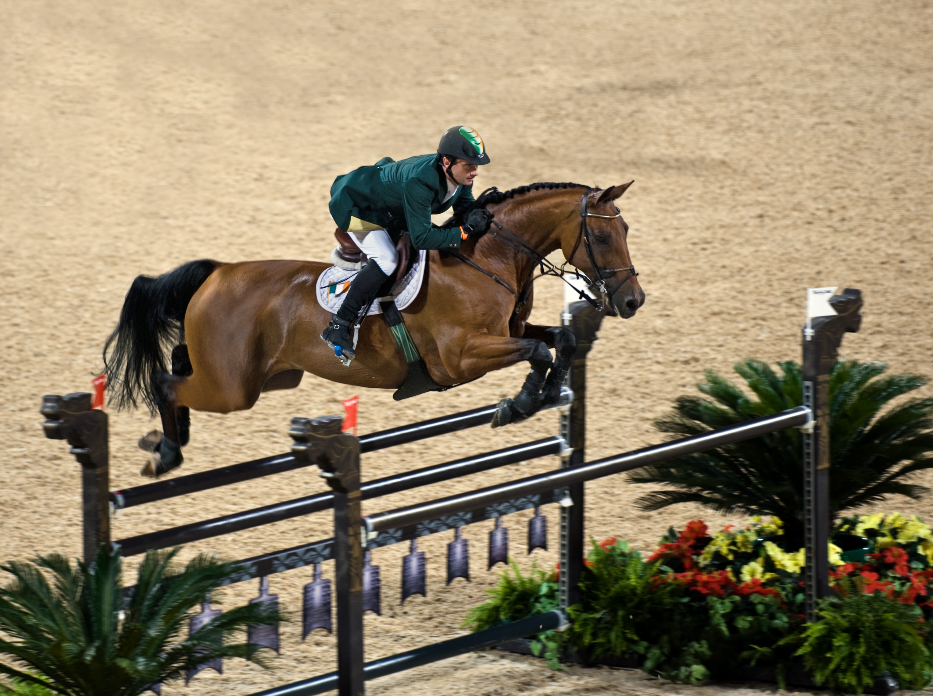 Hanoverian on Breed Ledger