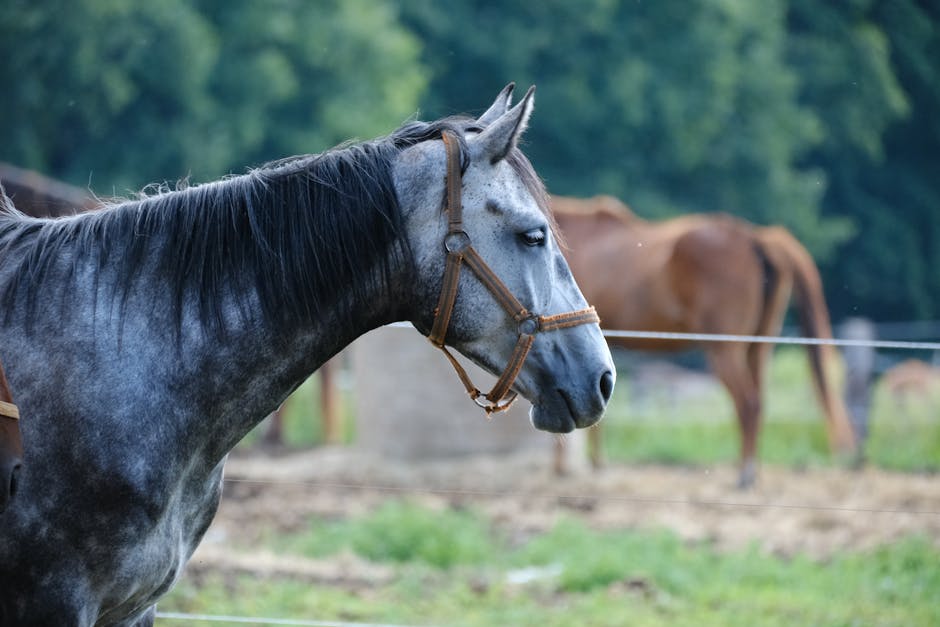 Horse on Breed Ledger