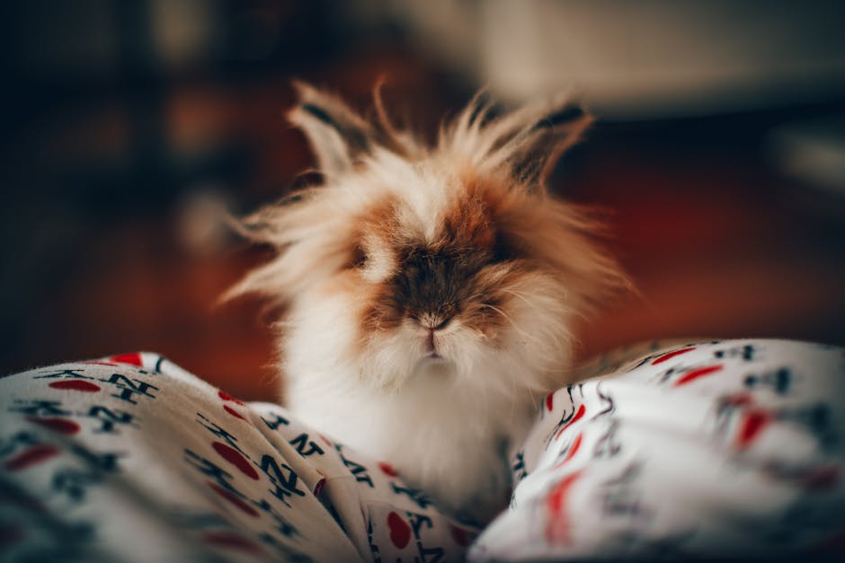 Lionhead on Breed Ledger